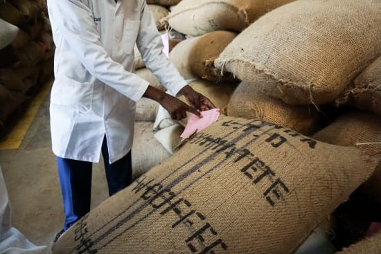 Gachatha - (Kenya - Washed)