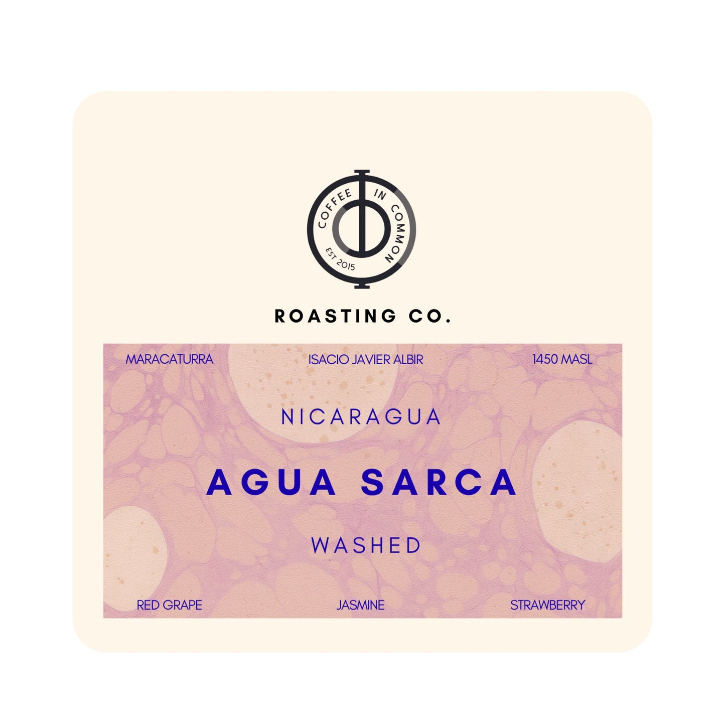 Agua Sarca - Nicaragua Washed