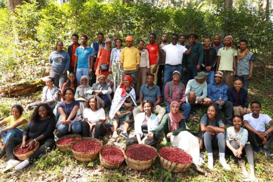 Kayon Mountain Farm