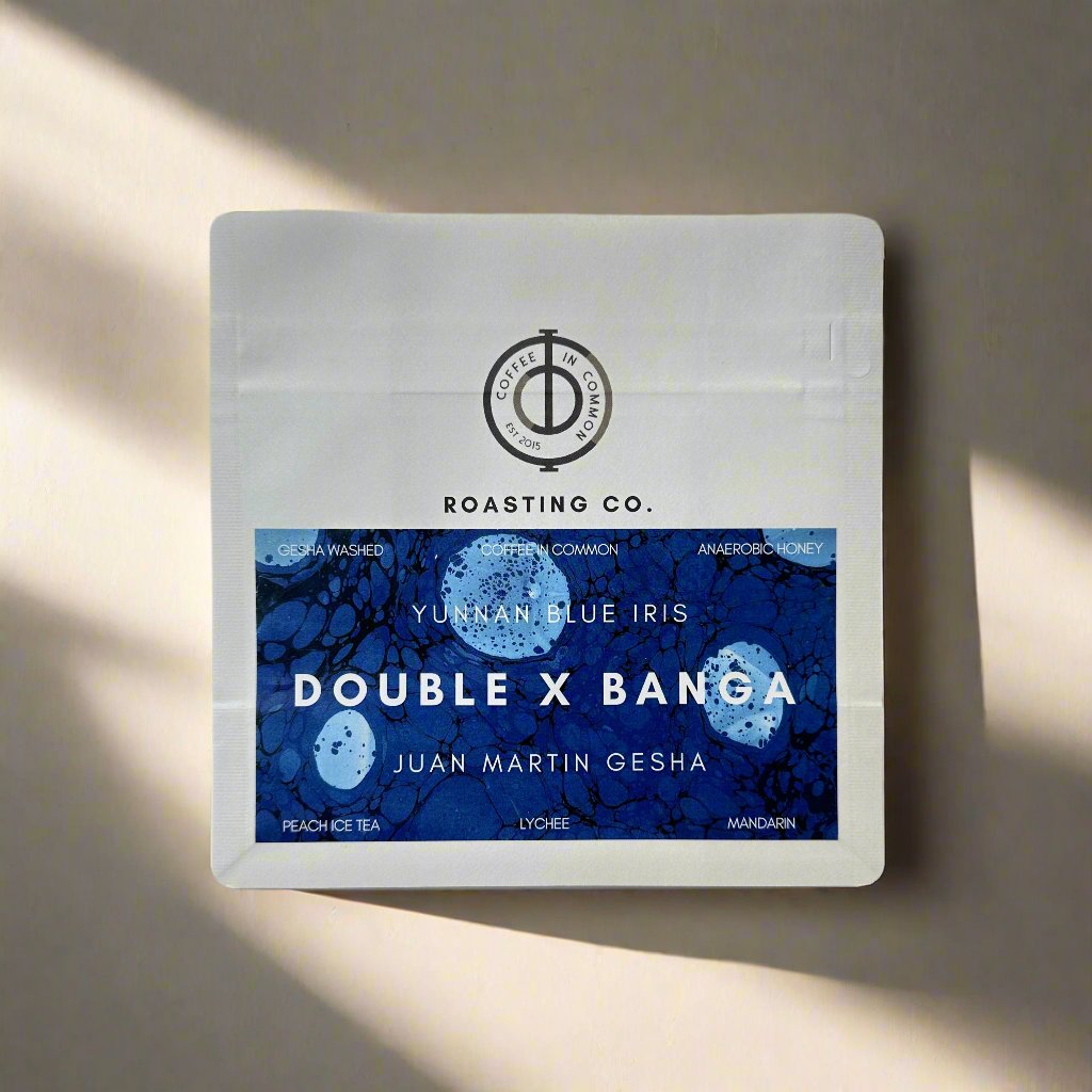 Double Banga