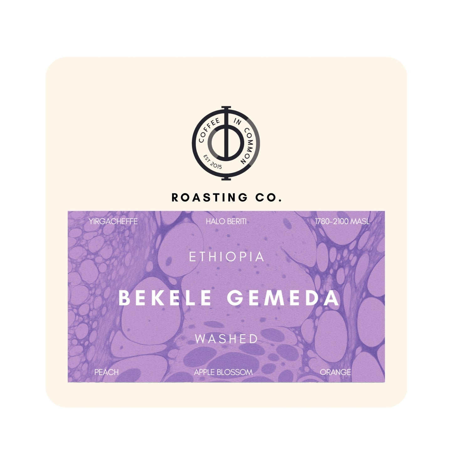 Bekele Gemeda - (Ethiopia Washed)
