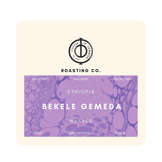 Bekele Gemeda - (Ethiopia Washed)