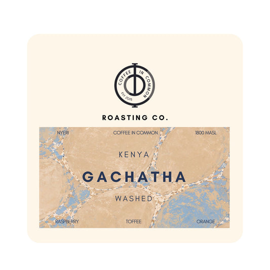 Gachatha - (Kenya - Washed)